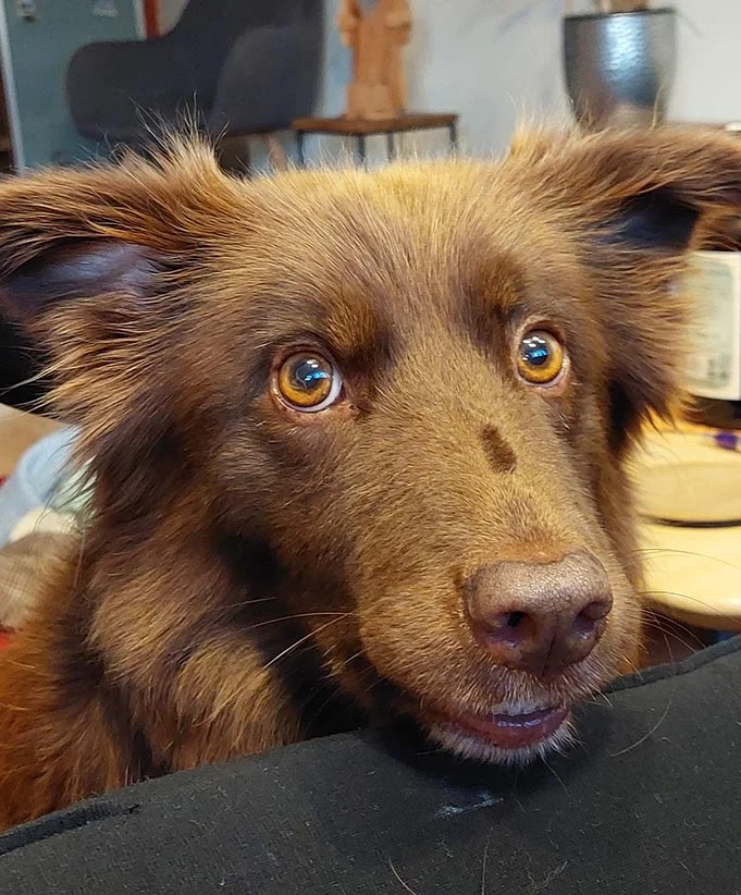 Daniel Schindler, Personalvermittlung Ich finde Dein Personal